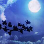 ヒメ日記 2026/01/15 11:38 投稿 かれん アドミsince2009吉祥寺デリヘル&Go To FANTASY東京吉祥寺店