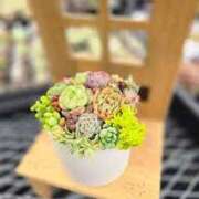 ヒメ日記 2026/01/16 12:22 投稿 かれん アドミsince2009吉祥寺デリヘル&Go To FANTASY東京吉祥寺店