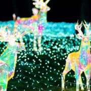 ヒメ日記 2026/01/21 11:50 投稿 かれん アドミsince2009吉祥寺デリヘル&Go To FANTASY東京吉祥寺店