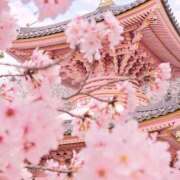 ヒメ日記 2026/02/28 08:12 投稿 かれん アドミsince2009吉祥寺デリヘル&Go To FANTASY東京吉祥寺店
