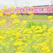 ヒメ日記 2026/03/10 13:10 投稿 かれん アドミsince2009吉祥寺デリヘル&Go To FANTASY東京吉祥寺店