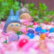 ヒメ日記 2026/03/24 05:38 投稿 かれん アドミsince2009吉祥寺デリヘル&Go To FANTASY東京吉祥寺店