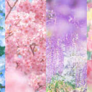 ヒメ日記 2026/04/30 12:12 投稿 かれん アドミsince2009吉祥寺デリヘル&Go To FANTASY東京吉祥寺店