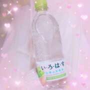 ヒメ日記 2026/06/11 05:38 投稿 かれん アドミsince2009吉祥寺デリヘル&Go To FANTASY東京吉祥寺店