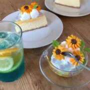 ヒメ日記 2026/07/24 07:22 投稿 かれん アドミsince2009吉祥寺デリヘル&Go To FANTASY東京吉祥寺店