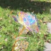 ヒメ日記 2026/07/30 15:08 投稿 かれん アドミsince2009吉祥寺デリヘル&Go To FANTASY東京吉祥寺店