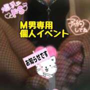 ヒメ日記 2025/02/14 22:02 投稿 かりな やMAT撫子