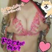 ヒメ日記 2025/09/27 17:53 投稿 かりな やMAT撫子