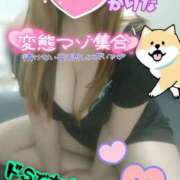 ヒメ日記 2025/11/23 14:15 投稿 かりな やMAT撫子