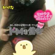 ヒメ日記 2025/12/19 12:31 投稿 かりな やMAT撫子