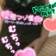 ヒメ日記 2025/12/28 12:46 投稿 かりな やMAT撫子