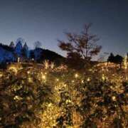 ヒメ日記 2024/12/15 19:04 投稿 ひまり やMAT撫子