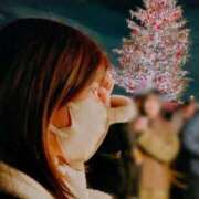 ヒメ日記 2024/12/20 19:00 投稿 ひまり やMAT撫子