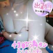 ヒメ日記 2024/12/21 09:04 投稿 ひまり やMAT撫子