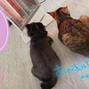 ヒメ日記 2024/12/27 07:32 投稿 ひまり やMAT撫子