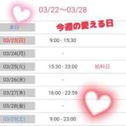 ヒメ日記 2025/03/23 12:05 投稿 ひまり やMAT撫子