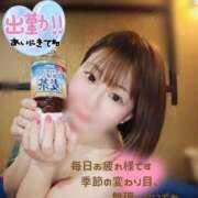 ヒメ日記 2025/04/08 15:01 投稿 ひまり やMAT撫子