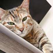 ヒメ日記 2025/05/21 08:51 投稿 ひまり やMAT撫子