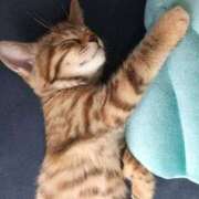 ヒメ日記 2025/06/04 17:15 投稿 ひまり やMAT撫子