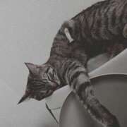 ヒメ日記 2025/07/19 22:17 投稿 ひまり やMAT撫子