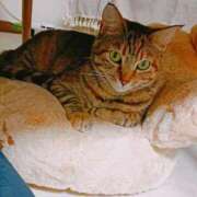 ヒメ日記 2025/10/21 00:34 投稿 ひまり やMAT撫子