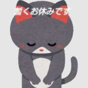 ヒメ日記 2025/04/17 09:49 投稿 しぐれ やMAT撫子