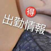 ヒメ日記 2026/04/28 10:54 投稿 しぐれ やMAT撫子