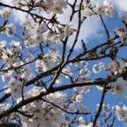 ヒメ日記 2025/04/08 07:18 投稿 みさき SMAT×SMAT（スマットスマット）