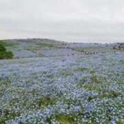 ヒメ日記 2025/05/13 09:55 投稿 みさき SMAT×SMAT（スマットスマット）