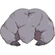 ヒメ日記 2025/06/20 07:38 投稿 みさき SMAT×SMAT（スマットスマット）