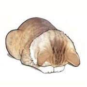 ヒメ日記 2025/12/23 07:56 投稿 みさき SMAT×SMAT（スマットスマット）