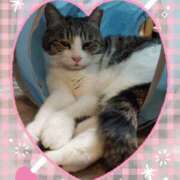 ヒメ日記 2025/02/27 18:42 投稿 じゅん SMAT×SMAT（スマットスマット）