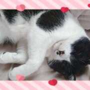 ヒメ日記 2025/03/31 20:04 投稿 じゅん SMAT×SMAT（スマットスマット）