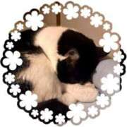 ヒメ日記 2025/05/31 18:38 投稿 じゅん SMAT×SMAT（スマットスマット）