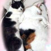 ヒメ日記 2025/06/30 20:32 投稿 じゅん SMAT×SMAT（スマットスマット）