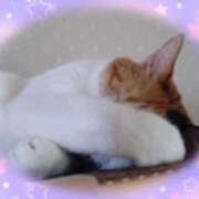 ヒメ日記 2025/08/01 06:43 投稿 じゅん SMAT×SMAT（スマットスマット）