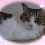 ヒメ日記 2025/08/31 20:50 投稿 じゅん SMAT×SMAT（スマットスマット）