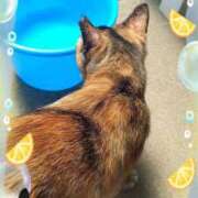 ヒメ日記 2025/10/04 07:22 投稿 じゅん SMAT×SMAT（スマットスマット）