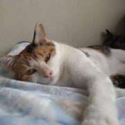 ヒメ日記 2026/02/22 07:55 投稿 じゅん SMAT×SMAT（スマットスマット）