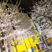 ヒメ日記 2025/03/31 16:46 投稿 エリカ SMAT×SMAT（スマットスマット）