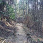 ヒメ日記 2025/02/23 14:52 投稿 ひかる SMAT×SMAT（スマットスマット）