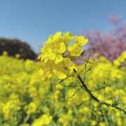 ヒメ日記 2025/03/13 18:08 投稿 ひかる SMAT×SMAT（スマットスマット）