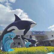 ヒメ日記 2025/03/23 12:01 投稿 ひかる SMAT×SMAT（スマットスマット）