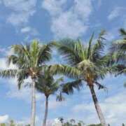 ヒメ日記 2025/04/08 14:06 投稿 ひかる SMAT×SMAT（スマットスマット）