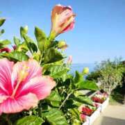 ヒメ日記 2025/05/23 07:20 投稿 ひかる SMAT×SMAT（スマットスマット）