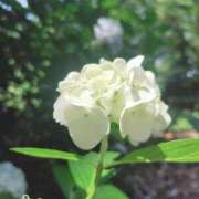 ヒメ日記 2025/06/16 15:07 投稿 ひかる SMAT×SMAT（スマットスマット）