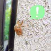 ヒメ日記 2025/08/15 19:24 投稿 ひかる SMAT×SMAT（スマットスマット）