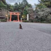 ヒメ日記 2025/10/01 06:33 投稿 ひかる SMAT×SMAT（スマットスマット）