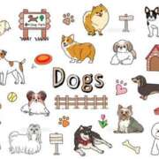 ヒメ日記 2025/11/01 17:42 投稿 ひかる SMAT×SMAT（スマットスマット）