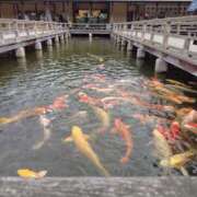 ヒメ日記 2025/11/18 09:29 投稿 ひかる SMAT×SMAT（スマットスマット）